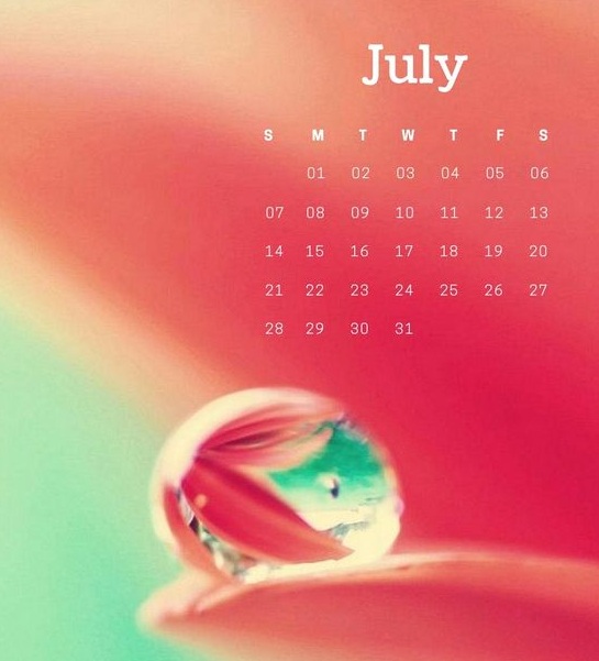 Cute July Calendar 2019 