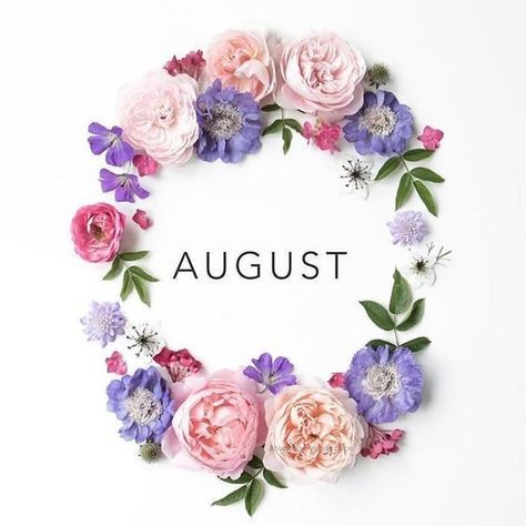 Hello August Images