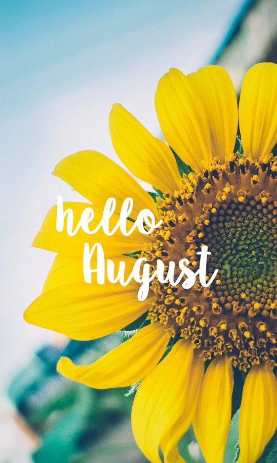 Hello August Quotes