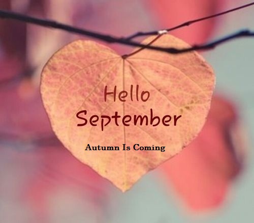 Hello September Pictures