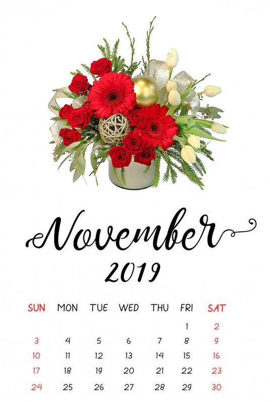 Cute November 2019 Calendar 