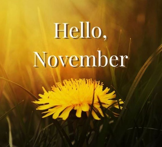 Hello November Pictures