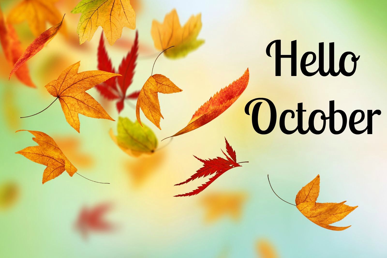 Hello October