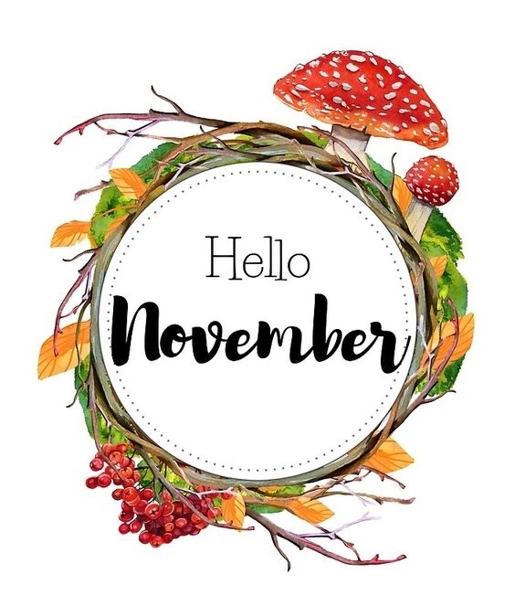 Hello Sweet November