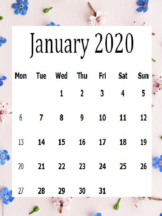 Cute January 2020 Calendar 