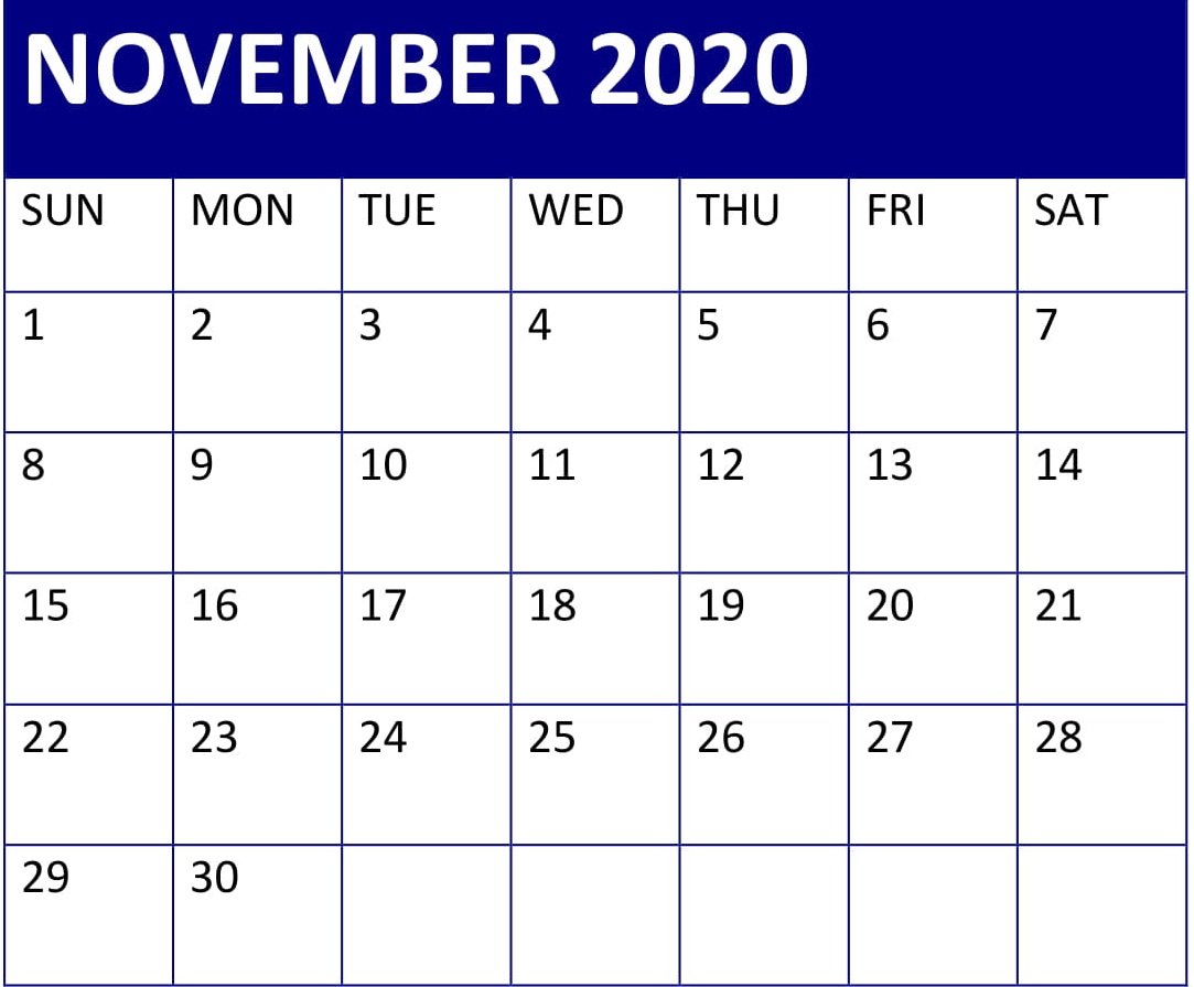 November 2020 Calendar